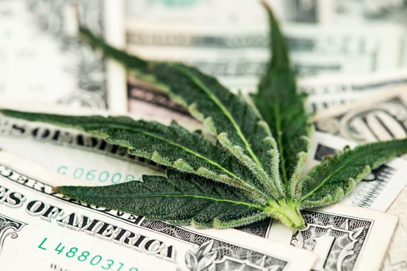 Cannabis Watchlist Stocks