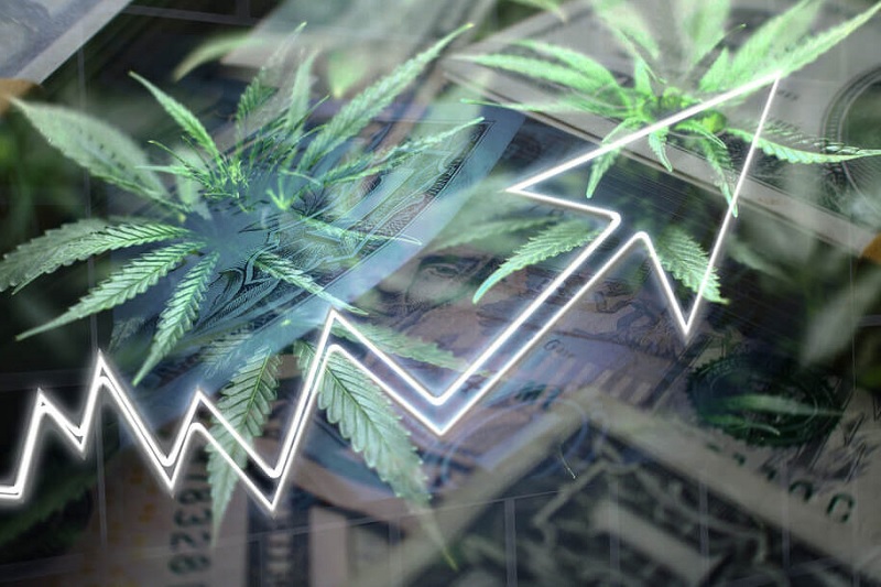 cannabis stocks